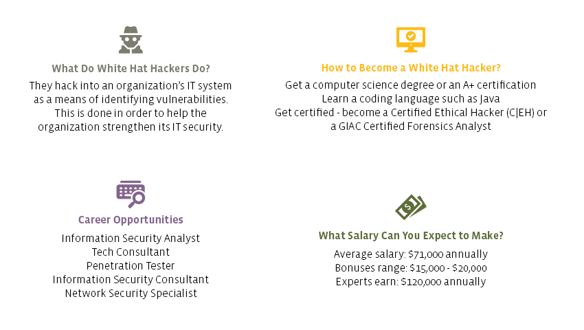 Table laying out some information about white hat hackers